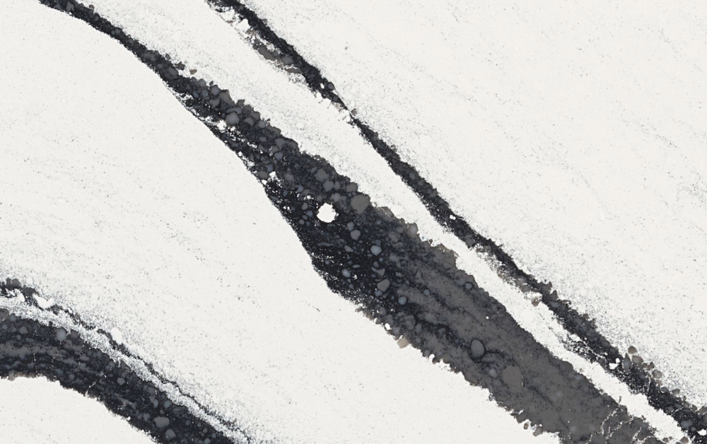 Cambria Bentley quartz features bold black veining sweeping across a crisp white surface in Lake Forest. Bentley quartz slab with striking black marble-like veins on a bright white background in Lake Forest