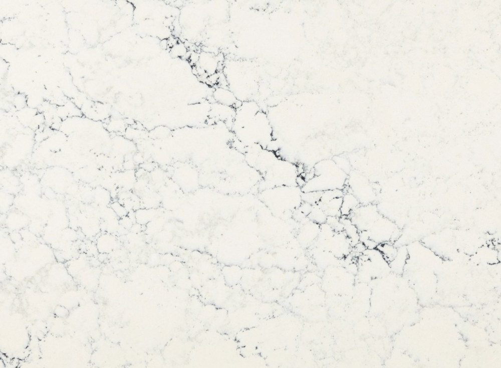 Sutherland quartz slab showcasing a crisp white surface with dark gray branching veins in Northbrook Sutherland quartz slab with a crisp white surface and dark gray branching veins in Northbrook